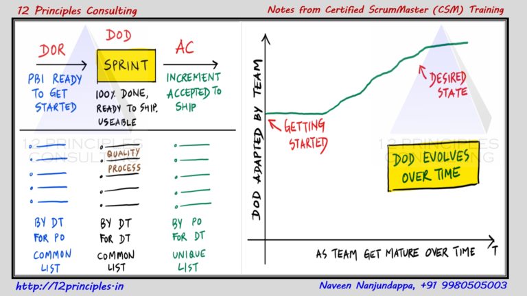 DoD - 12 Principles Consulting